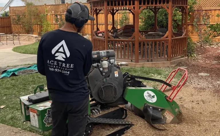 Ace Tree Service crew providing tree trimming in Sacramento County CA
