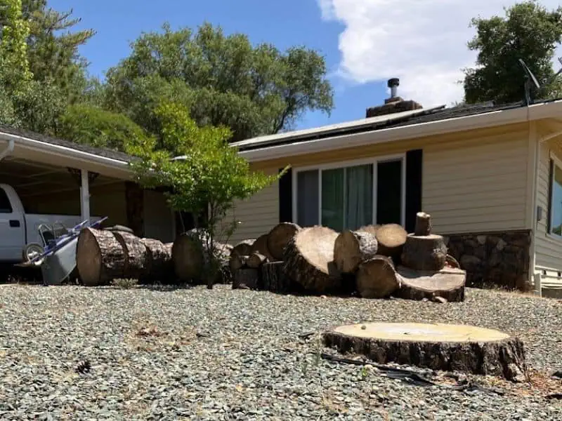 tree removal services