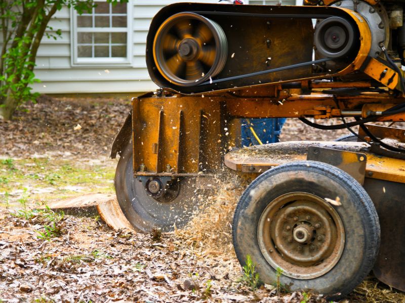 stump grinding and root removal