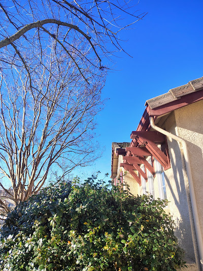 Ace Tree Service crew trimming trees near roof in Roseville California