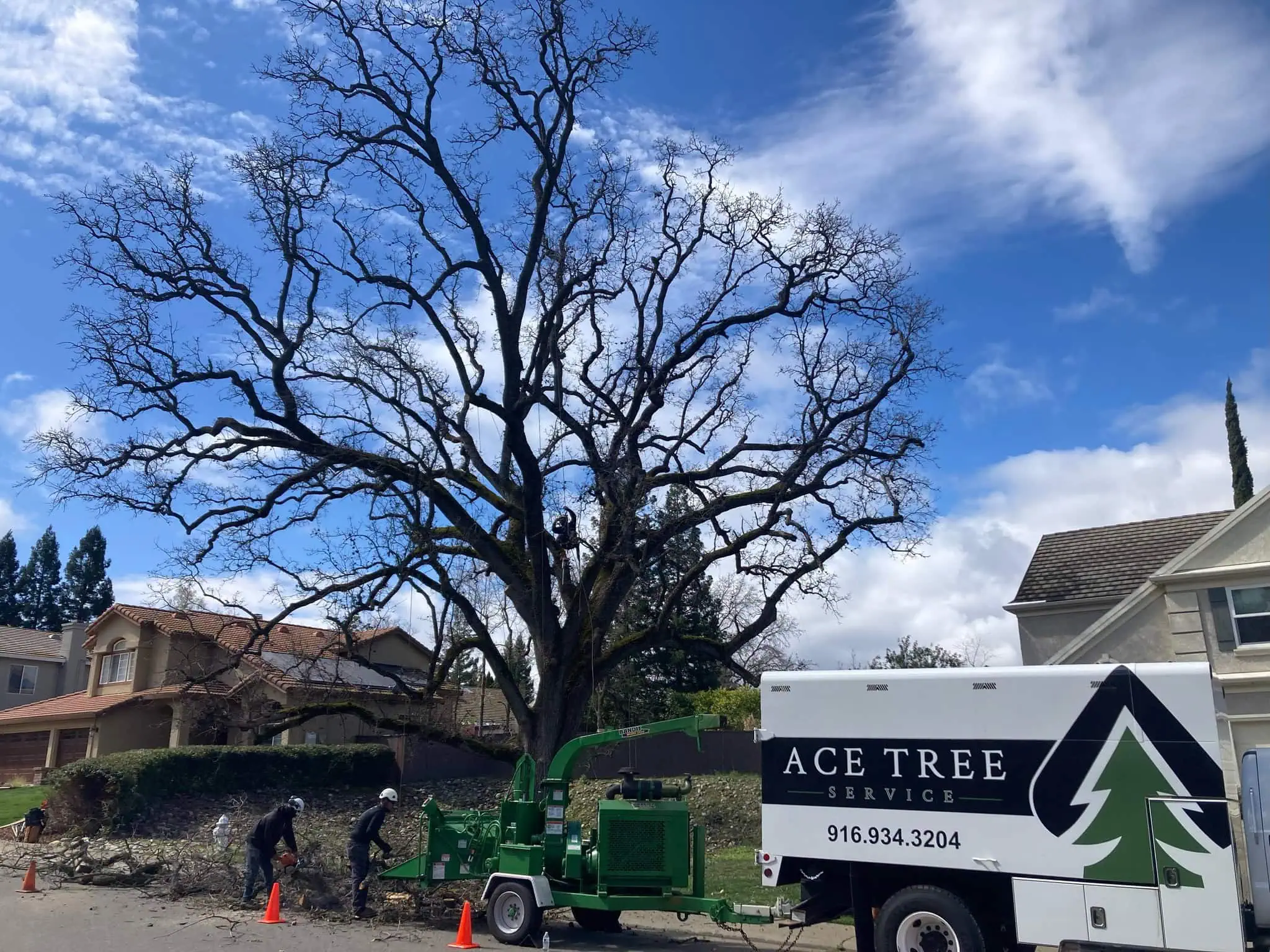 Select Tree Service in Granite Bay, CA Tree Service in Granite Bay, CA