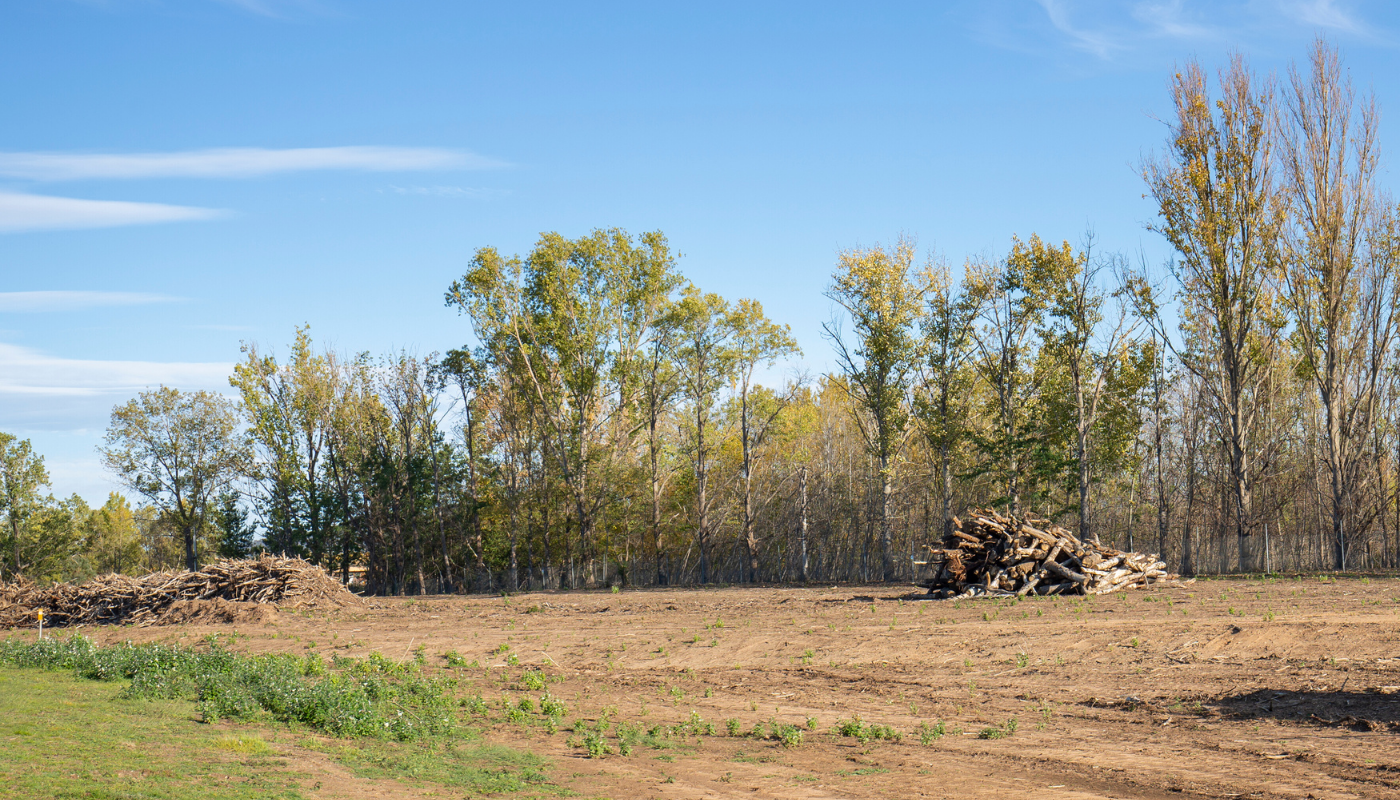 Full vegetation and tree growth in Granite Bay during late spring before summer heat.