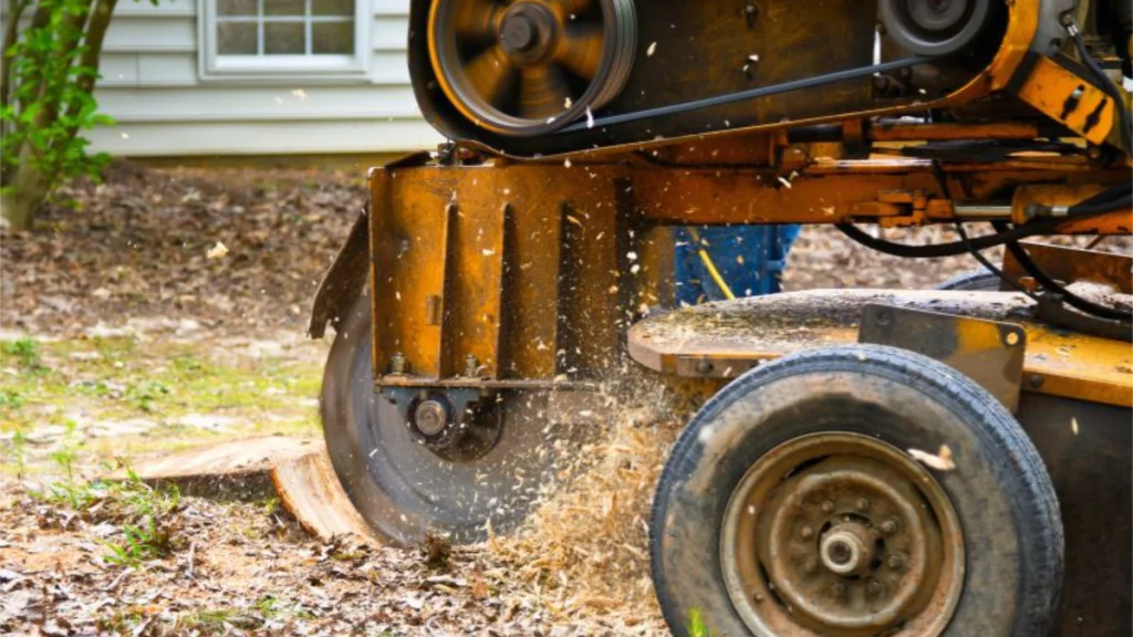 Ace Tree Service crew performing stump grinding in Granite Bay, CA