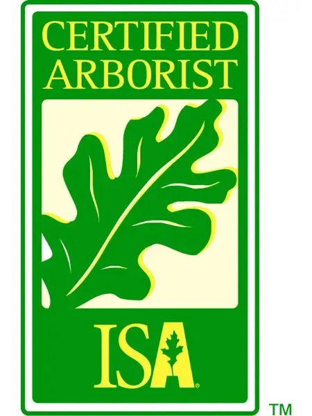 Isa certified arborist showcasing expertise in tree care services.