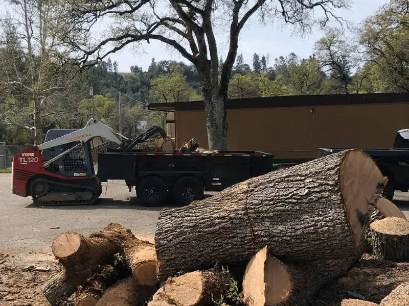 Defensible space clearing and fire abatement